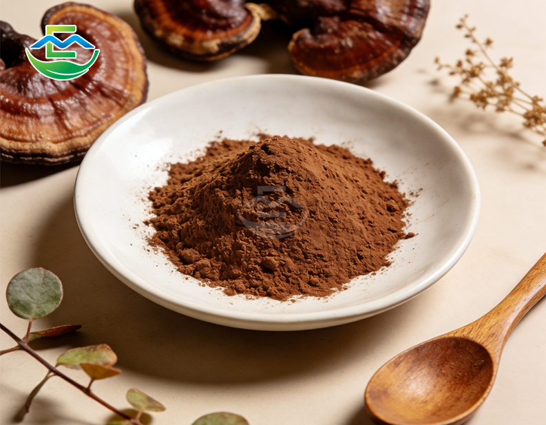 Reishi Extract Polysaccharides Beta Glucan